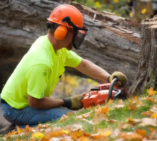 tree services Oakdale